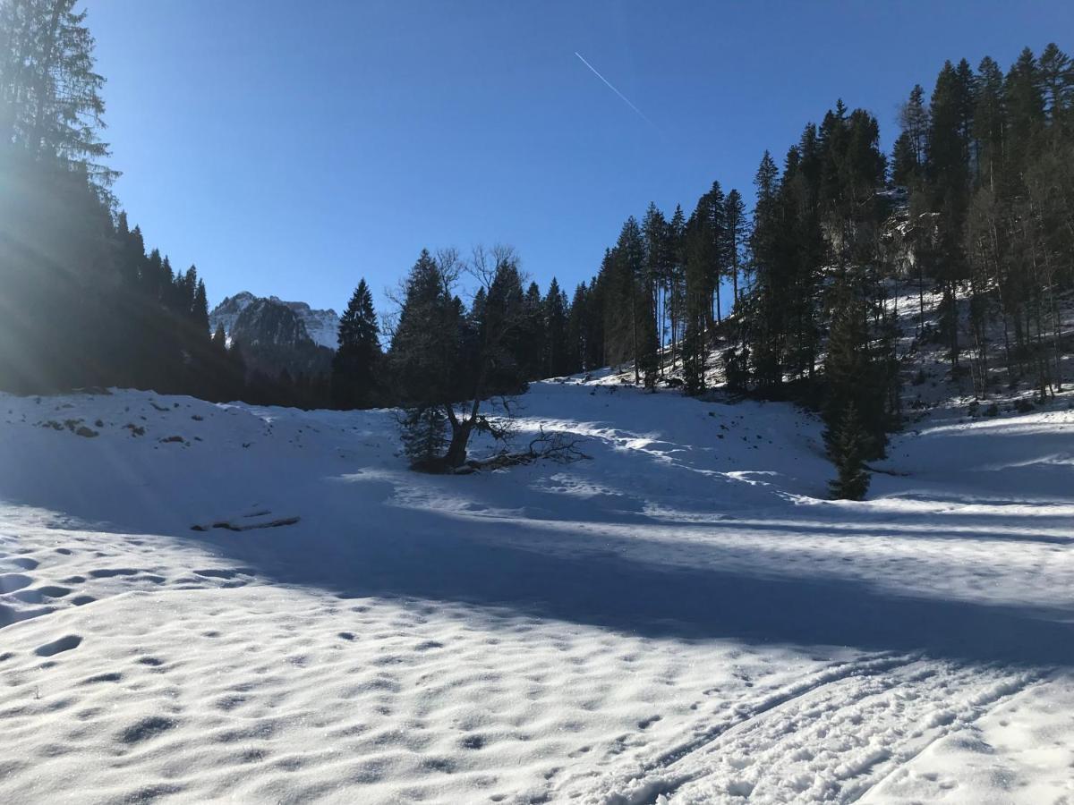 Kraehenberg Am Rande Der Wildnis