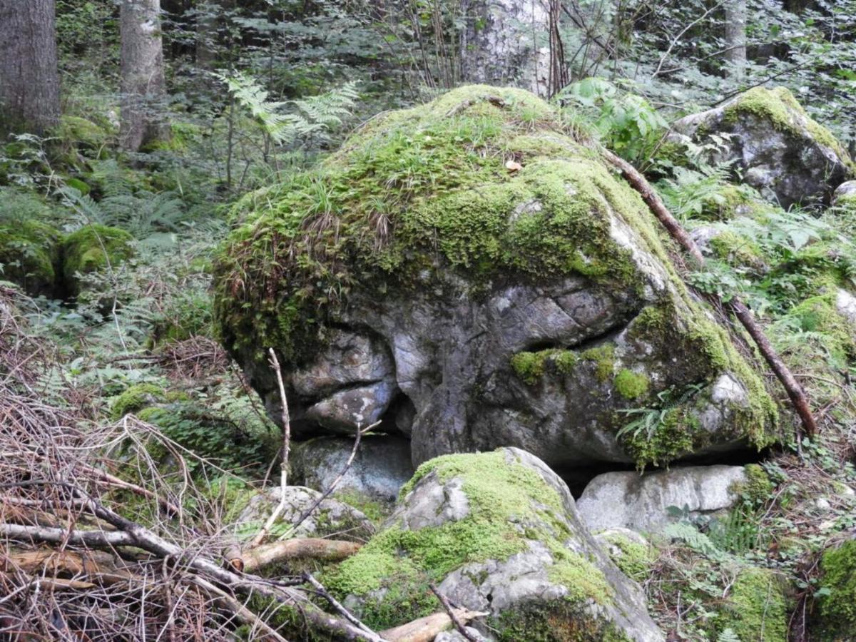 Apartment Kraehenberg Am Rande Der Wildnis Sibratsgfall