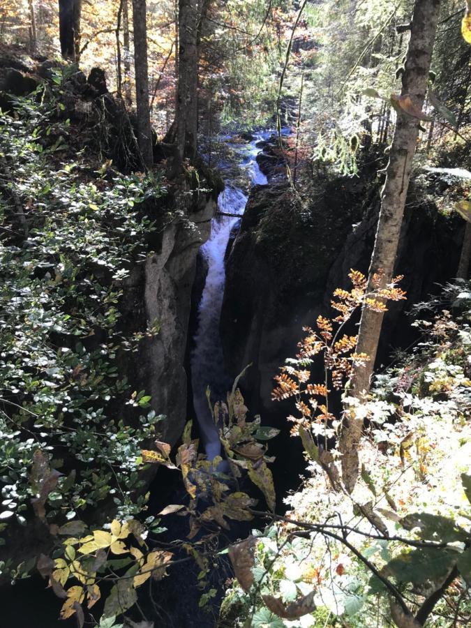 Kraehenberg Am Rande Der Wildnis * Sibratsgfall